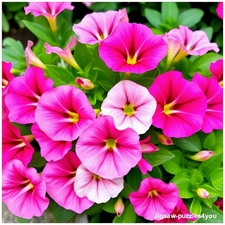 Traditional Jigsaw Puzzles