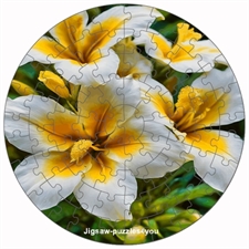 Round Puzzles