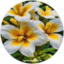 Round Puzzles