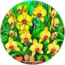 Round Puzzles