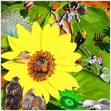 Traditional Jigsaw Puzzles