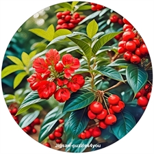 Round Puzzles