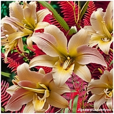 Traditional Jigsaw Puzzles