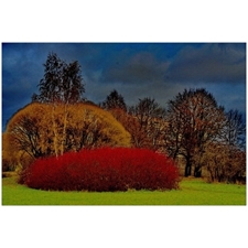 Traditional Jigsaw Puzzles