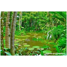 Traditional Jigsaw Puzzles