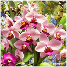 Traditional Jigsaw Puzzles