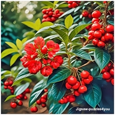 Traditional Jigsaw Puzzles
