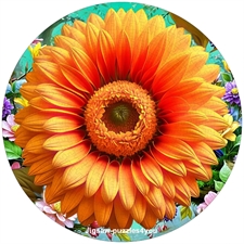 Round Puzzles