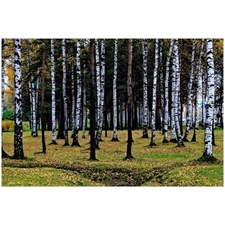 Traditional Jigsaw Puzzles