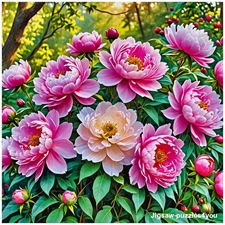 Traditional Jigsaw Puzzles