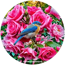 Round Puzzles