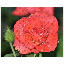 Jigsaw Puzzles 10