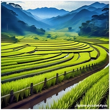 Traditional Jigsaw Puzzles