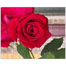 Jigsaw Puzzles 10
