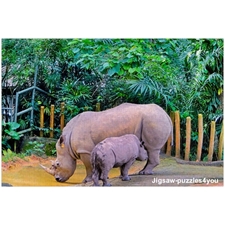 Traditional Jigsaw Puzzles