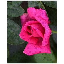 Jigsaw Puzzles 10