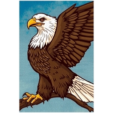 Traditional Jigsaw Puzzles