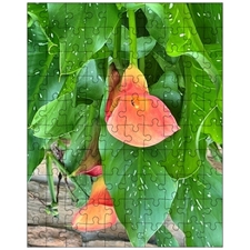 Jigsaw Puzzles 10
