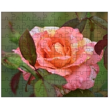 Jigsaw Puzzles 10