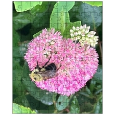 Jigsaw Puzzles 10