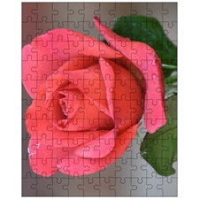 Jigsaw Puzzles 10