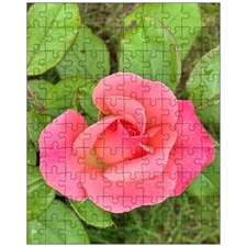Jigsaw Puzzles 10