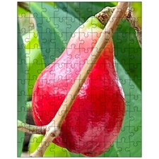 Jigsaw Puzzles 10