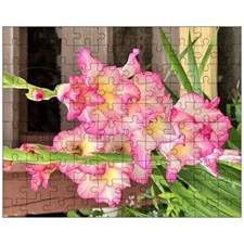 Jigsaw Puzzles 10