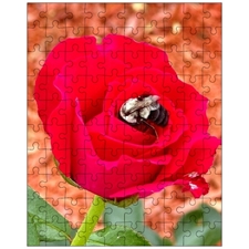 Jigsaw Puzzles 10