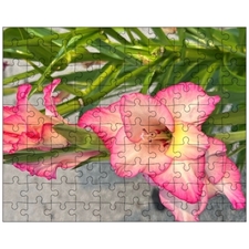 Jigsaw Puzzles 10