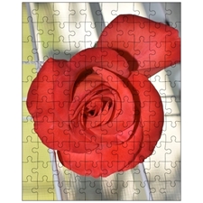 Jigsaw Puzzles 10
