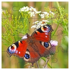 Invitation Puzzles