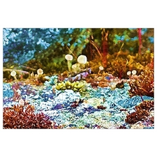 Colorful Cladonia Cup Lichen And Mosses Tube Puzzle