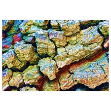 A Different View of Tree Bark - 150-piece Tube Puzzle