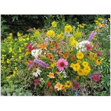 Traditional Jigsaw Puzzles