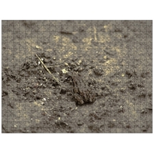Traditional Jigsaw Puzzles