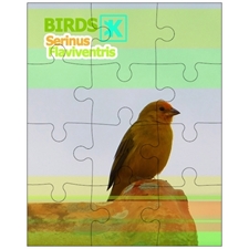 Jigsaw Puzzles 10