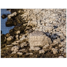 Traditional Jigsaw Puzzles