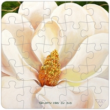 Puzzle Plastic