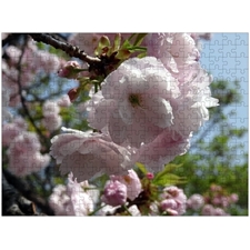 Traditional Jigsaw Puzzles