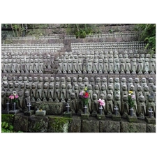 Traditional Jigsaw Puzzles