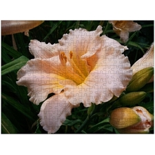 Traditional Jigsaw Puzzles