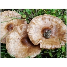 Traditional Jigsaw Puzzles