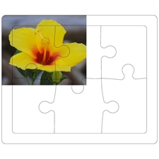 Tray Puzzles