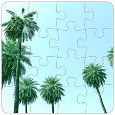 Puzzle Plastic