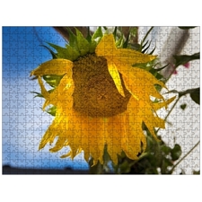 Traditional Jigsaw Puzzles