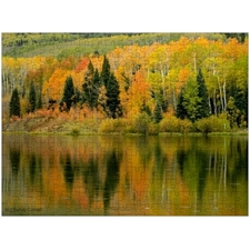 Traditional Jigsaw Puzzles