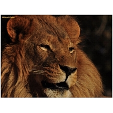 Traditional Jigsaw Puzzles