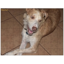 Traditional Jigsaw Puzzles