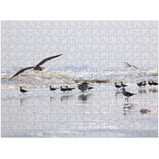 Traditional Jigsaw Puzzles